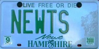 Live Free or Die Newt Hampshire