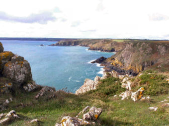 Community advertising - Courtesy, Oliver's Cornwall