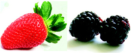 Community advertising - GlobalAppointments.com
