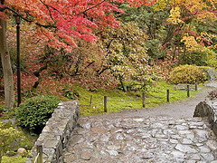Japanese Garden PB052568
