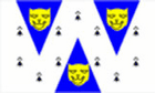Shropshire County Flag