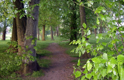 View in Darlington