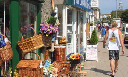 View of Bridport