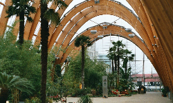 Sheffield Winter Garden