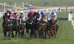 Cheltenham Races
