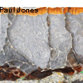 Paul Jones - Themed Abstract Art at its best