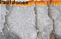 Paul Jones - Themed Abstract Art at its best