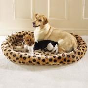 Global Appointments Agency doggy bed - nanny jobs, au pair agency, childcare jobs, aupairs, private tuition, nannies, housekeepers, pet care, house sitting, family adverts